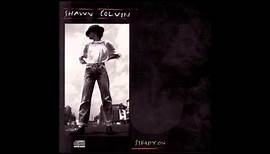 Shawn Colvin- Steady On