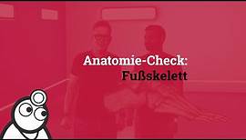 Anatomie-Check: Das Fußskelett