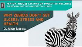 "Why Zebras Don't Get Ulcers: Stress and Health" by Dr. Robert Sapolsky