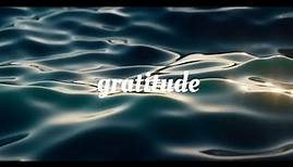 Will Lee - Gratitude (Lyric video now streaming)