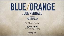 Blue/Orange | Writer, Joe Penhall