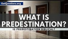 What is Predestination? | Predestination in the Bible | GotQuestions.org