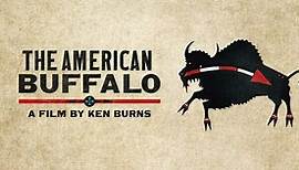 About the Film | The American Buffalo | Ken Burns | PBS