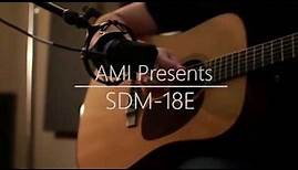 AMI Guitars Model SDM-18E