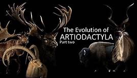 The Evolution of Artiodactyls (part two) : Deers, antelopes and goats 🦌🐂