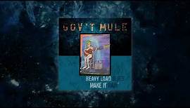 Gov't Mule - Make It Rain (Visualizer Video)
