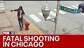 Video shows suspect fire shots at person in Chicago