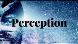 What is PERCEPTION? (Meaning & Definition Explained) What does PERCEPTION mean? Define PERCEPTION