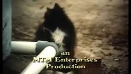 MTM Enterprises (1975)