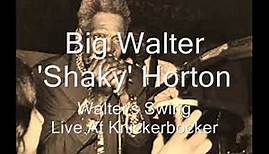 Big Walter Horton-Walter's Swing (Live At Knickerbocker)