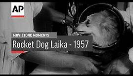 Rocket Dog Laika | Movietone Moment | 13 April 17