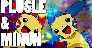 How To Use: Plusle and Minun! Plusle & Minun Strategy Guide ORAS / XY