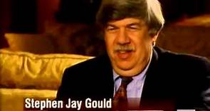 Stephen Jay Gould interview on Evolution