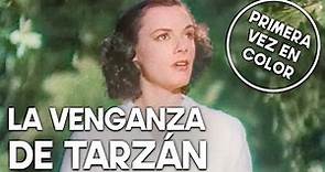 La venganza de Tarzán | COLOREADO | Película aventura | Familia