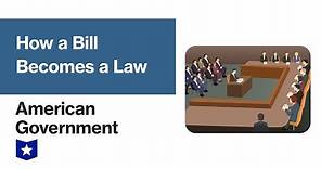 How a Bill Becomes a Law | American Government