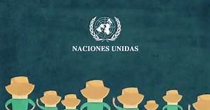 CONVENCION NACIONES UNIDAS DERECHOS DE LAS PERSONAS CON DISCAPACIDAD