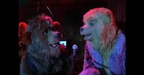 Straight To The heart of Love- The Country Bears