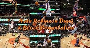 Nate Robinson Dunk & Block Compilation ᴴᴰ