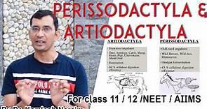 Perissodactyla and Artiodactyla By DR. KAMLESH NARAIN