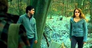 Funny Weasley/Granger Scene #73 | "You..Complete..Arse Ronald Weasley!"
