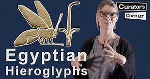 Learn how to read Ancient Egyptian Hieroglyphs with Ilona Regulski | Curator's Corner S7 E11