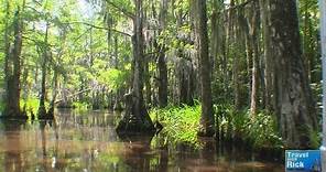 Louisiana Swamp Tour With Cajun Encounters - Episode 258