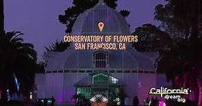Check out the Conservatory of Flowers in San Francisco!