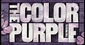 What About Love? (Instrumental/Karaoke) - The Color Purple - HD (lyrics on description)