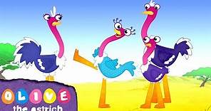 Olive the Ostrich - Intro & Theme Song | Cartoons for Kids