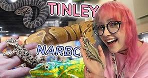 BIGGEST Reptile Expo in THE US! + My New Rare Lizards! - NARBC