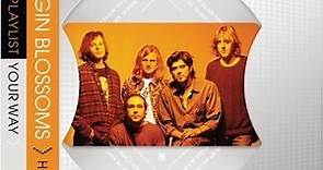 Gin Blossoms - Playlist Your Way
