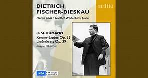 Kerner Lieder "Eine Liederreihe nach Justinus Kerner", Op. 35: Lust der Sturmnacht