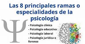 Las 8 principales ramas o especialidades de la psicología