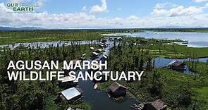 Our Fragile Earth S2E8 Agusan Marsh Wildlife Sanctuary & Mabini Protected Landscape and Seascape