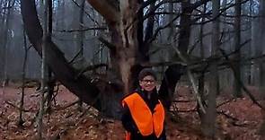 @michelleburchacki1483 the woods Michelle 😃 he loves it. See video before this too