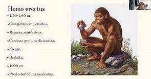 La Especie Homo Erectus: el Hombre de Java, el Hombre de Pekín y el Homo Ergaster