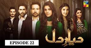 Diyar e Dil Episode 22 HUM TV Drama