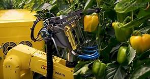 Sweeper 研發自動採收機器人！農夫不用親自下田，機器人自己把蔬果送上來 | TechOrange 科技報橘