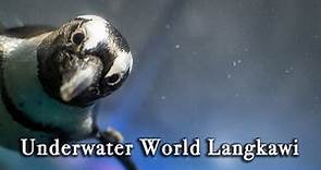 Underwater World Langkawi Malaysia【Full Tour in 4k】