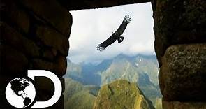 Macchu Picchu: La ciudad perdida de los Incas | Latinoamérica salvaje | Discovery Latinoamérica