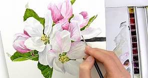 How to paint realistic apple blossom in watercolour with Anna Mason