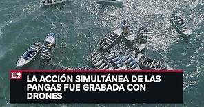 Como nunca, desbordada la pesca ilegal de Totoaba en hábitat de vaquita marina