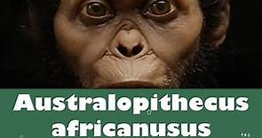 ⭐Australopithecus africanus 📗 aulamedia Historia