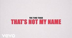 The Ting Tings - That's Not My Name (Official Lyric Video)
