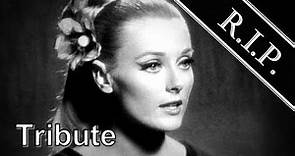 Celeste Yarnall ● A Simple Tribute