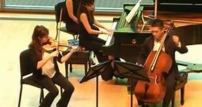Violinist Violinist Aniela Eddy... - Detroit Waldorf School