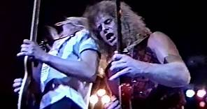 Tommy Shaw, Jack Blades, Brad Gillis, Jeff Watson LIVE - Houston 1990