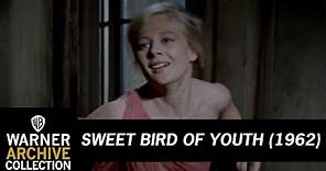 Trailer HD | Sweet Bird of Youth | Warner Archive