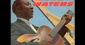 Muddy Waters - You need love - 1963