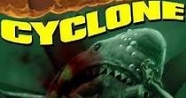 Cyclone - movie: where to watch stream online